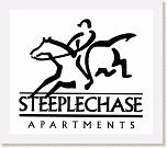 Spiralvista logo design (44)